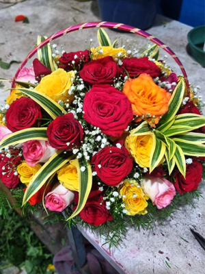 image-11