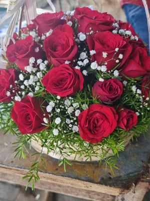 image-5